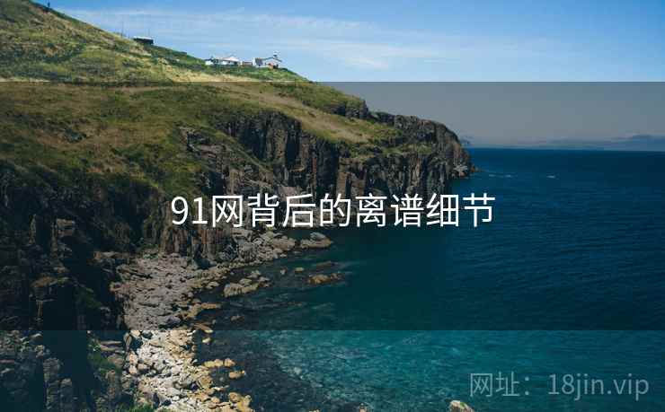 91网背后的离谱细节 91网背后的离谱细节