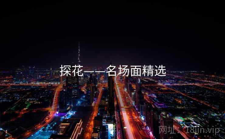 探花——名场面精选 探花——名场面精选