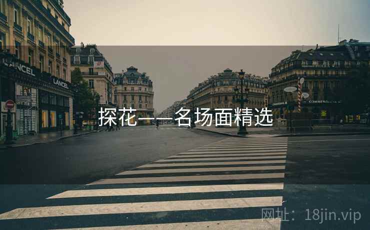 探花——名场面精选 探花——名场面精选