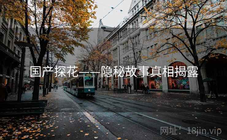 国产探花——隐秘故事真相揭露 国产探花——隐秘故事真相揭露