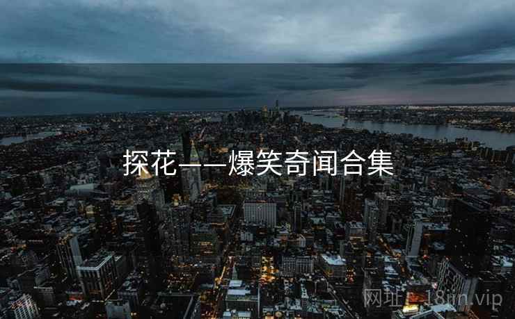 探花——爆笑奇闻合集