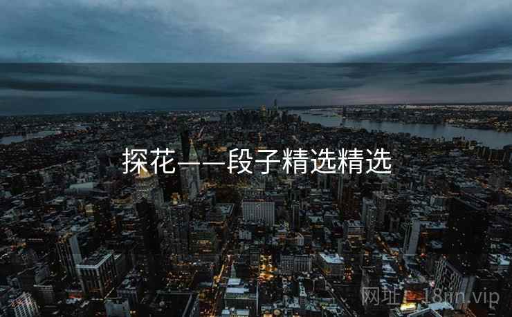 探花——段子精选精选