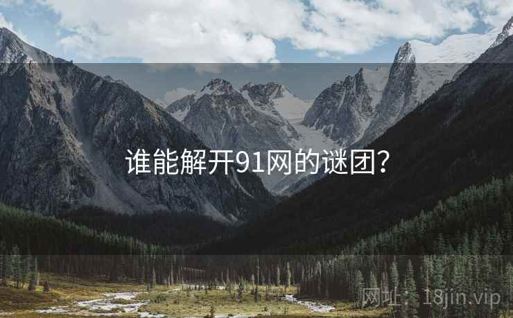 谁能解开91网的谜团? 谁能解开91网的谜团?
