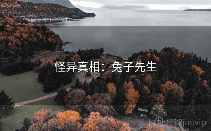 怪异真相:兔子先生 怪异真相:兔子先生