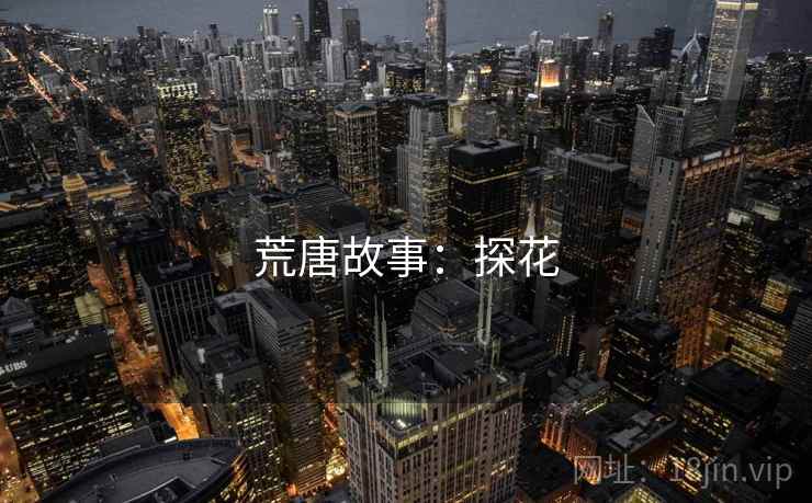 荒唐故事:探花 荒唐故事:探花