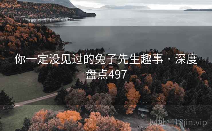 你一定没见过的兔子先生趣事 · 深度盘点497 你一定没见过的兔子先生趣事 · 深度盘点497