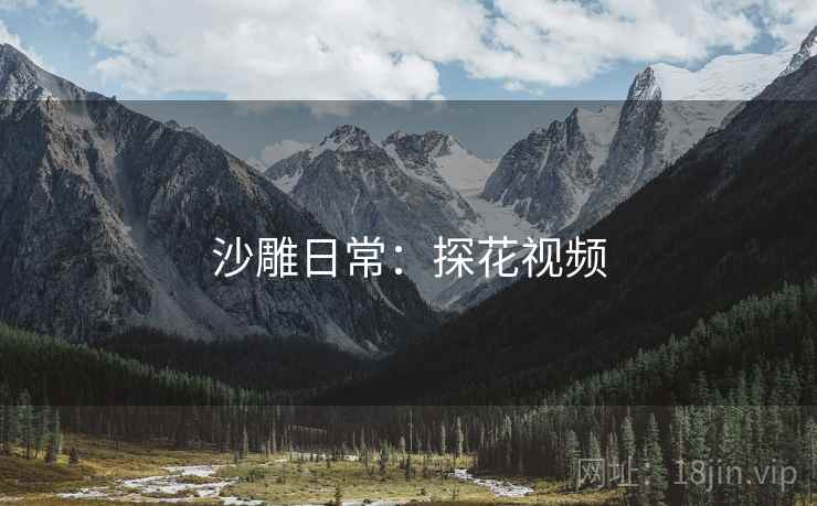 沙雕日常：探花视频