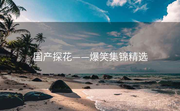 国产探花——爆笑集锦精选 国产探花——爆笑集锦精选