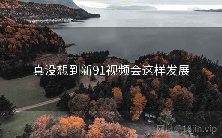 真没想到新91视频会这样发展 真没想到新91视频会这样发展