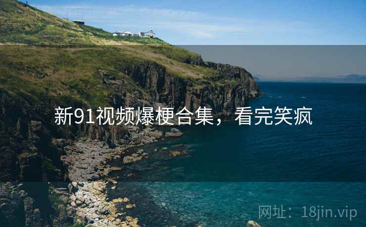 新91视频爆梗合集，看完笑疯