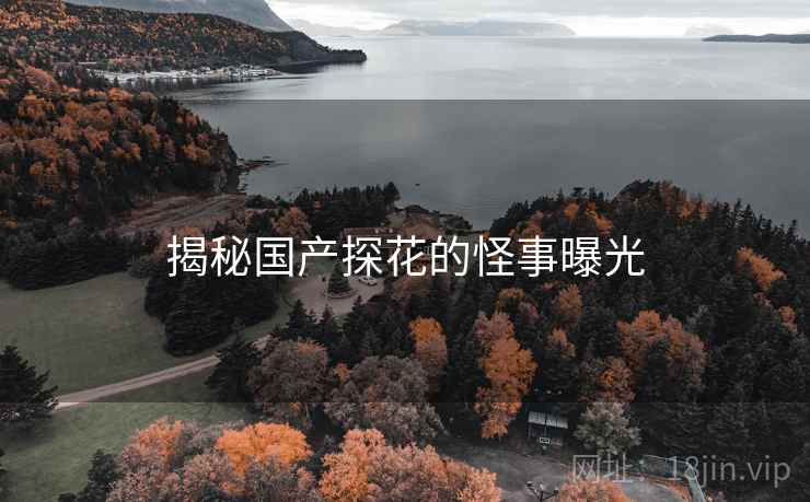 揭秘国产探花的怪事曝光