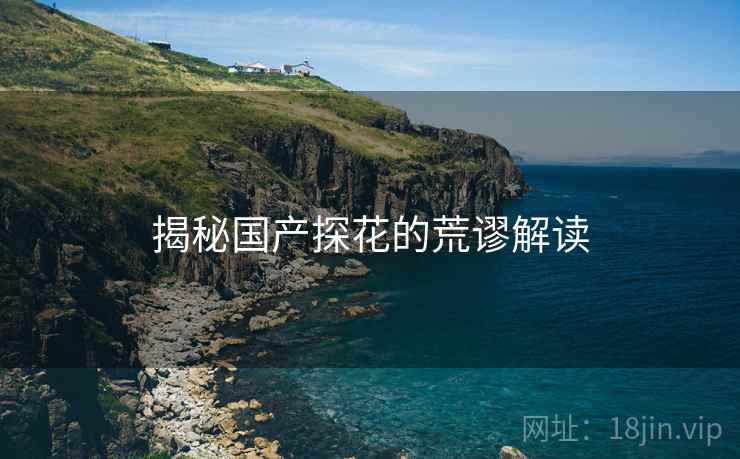 揭秘国产探花的荒谬解读