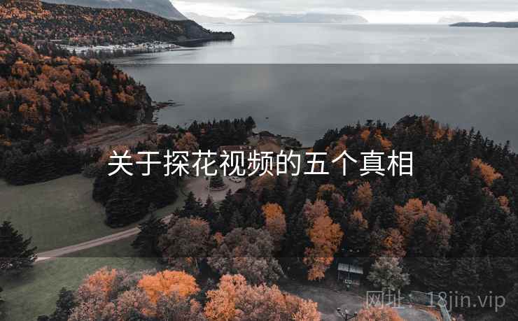 关于探花视频的五个真相