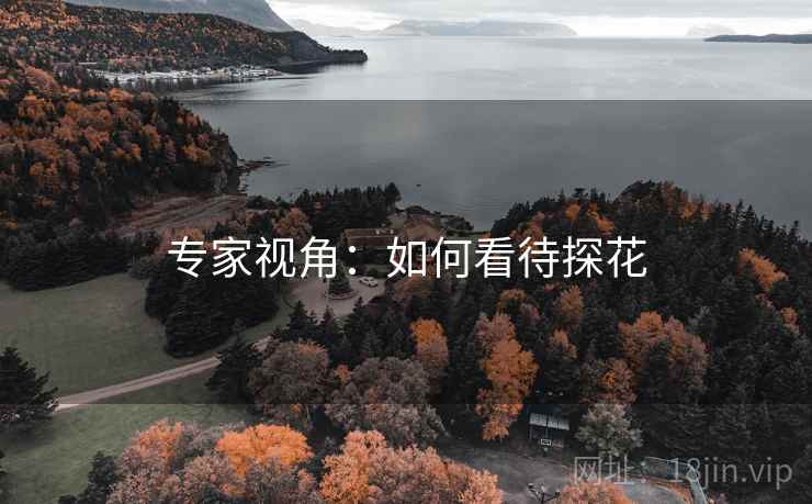 专家视角:如何看待探花